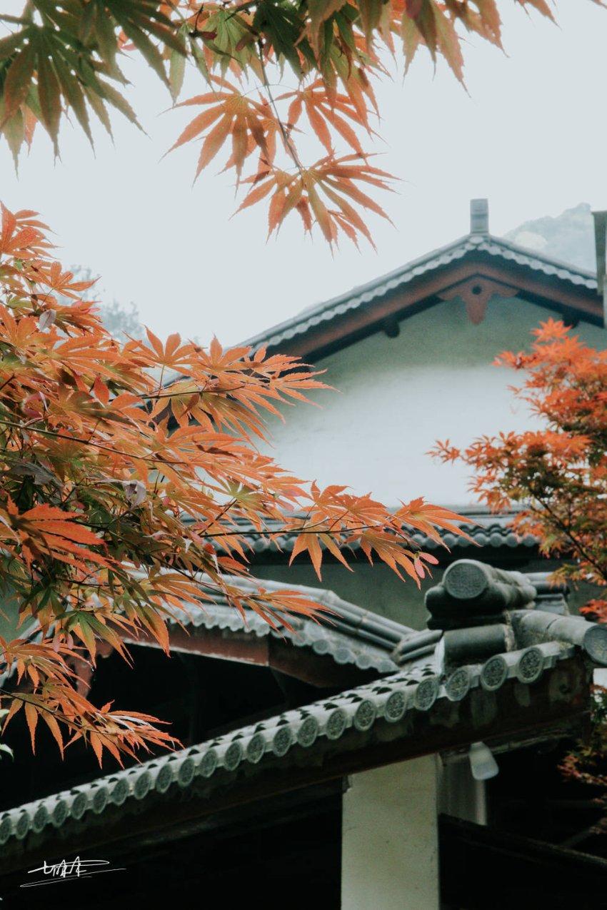 天天爱消除